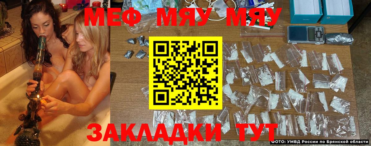 МЕФ Великий Новгород