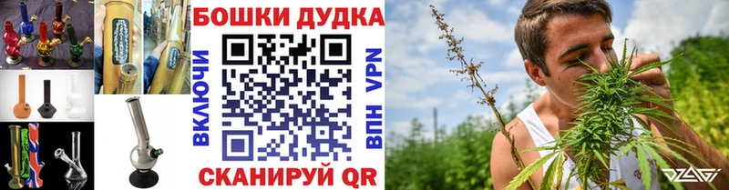 Бошки Шишки планчик  купить наркоту  Великий Новгород 